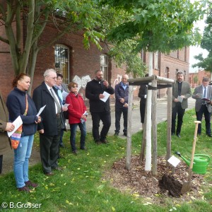 Pflanzung des Partnerschaftsbaums in Wittenberg